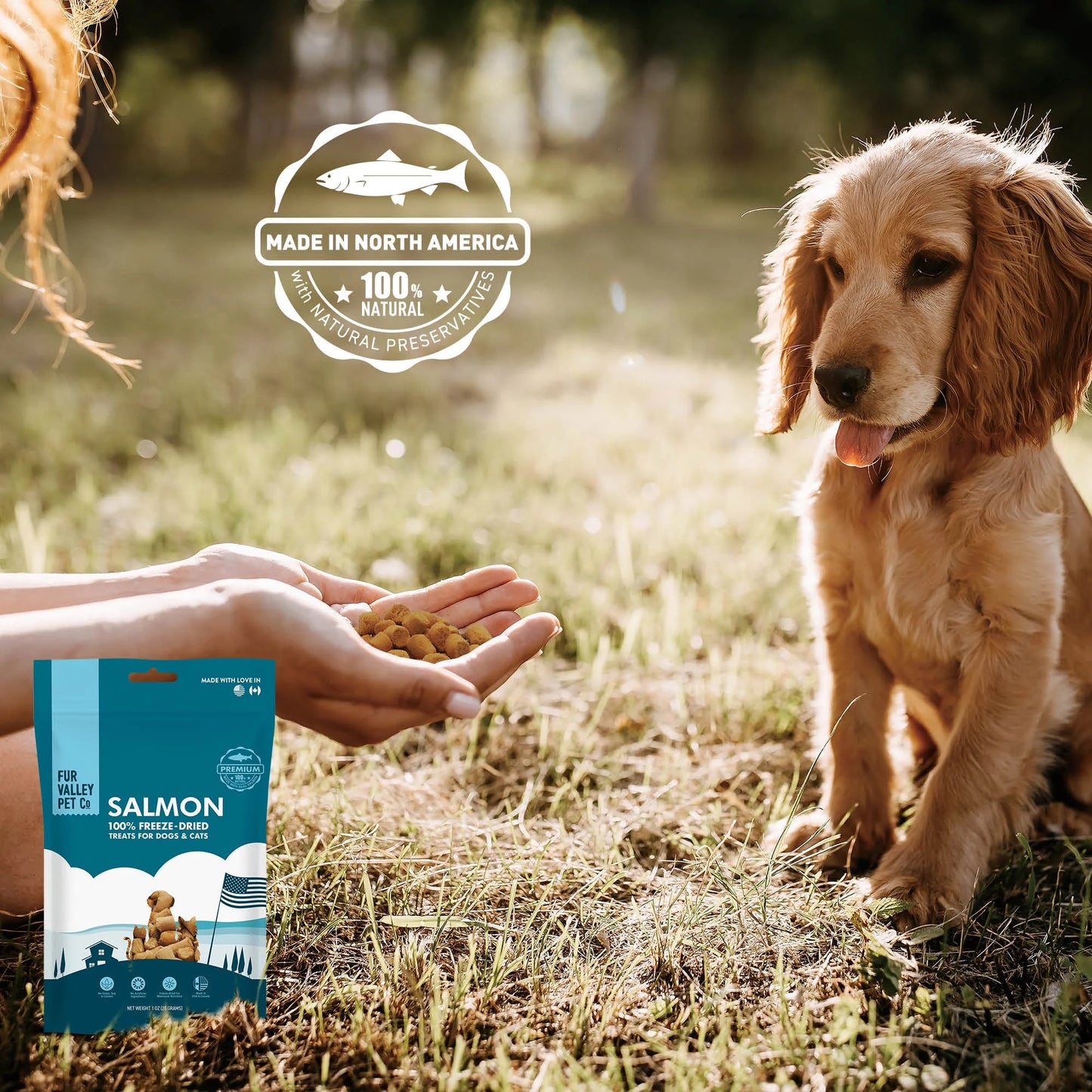 Co. Freeze Dried Raw Salmon Treats & Topper for Dogs and Cats - 1 Oz.