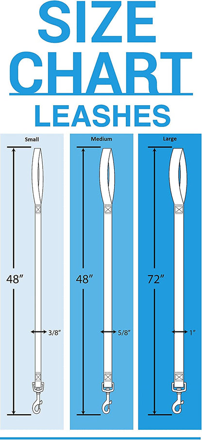 NFL Licensed Carolina Panthers Pet Leash, Size Large – Durable Satin Dog & Cat Walking Strap and Pet Tether with Embroidered Team Name & Logo