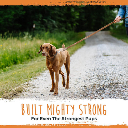 Luxury Leather Dog Leash - Genuine Material Leather Leashes for All Pet Sizes - Pet Lead - 5 Ft Premium Quality - Soft Material - Light Brown