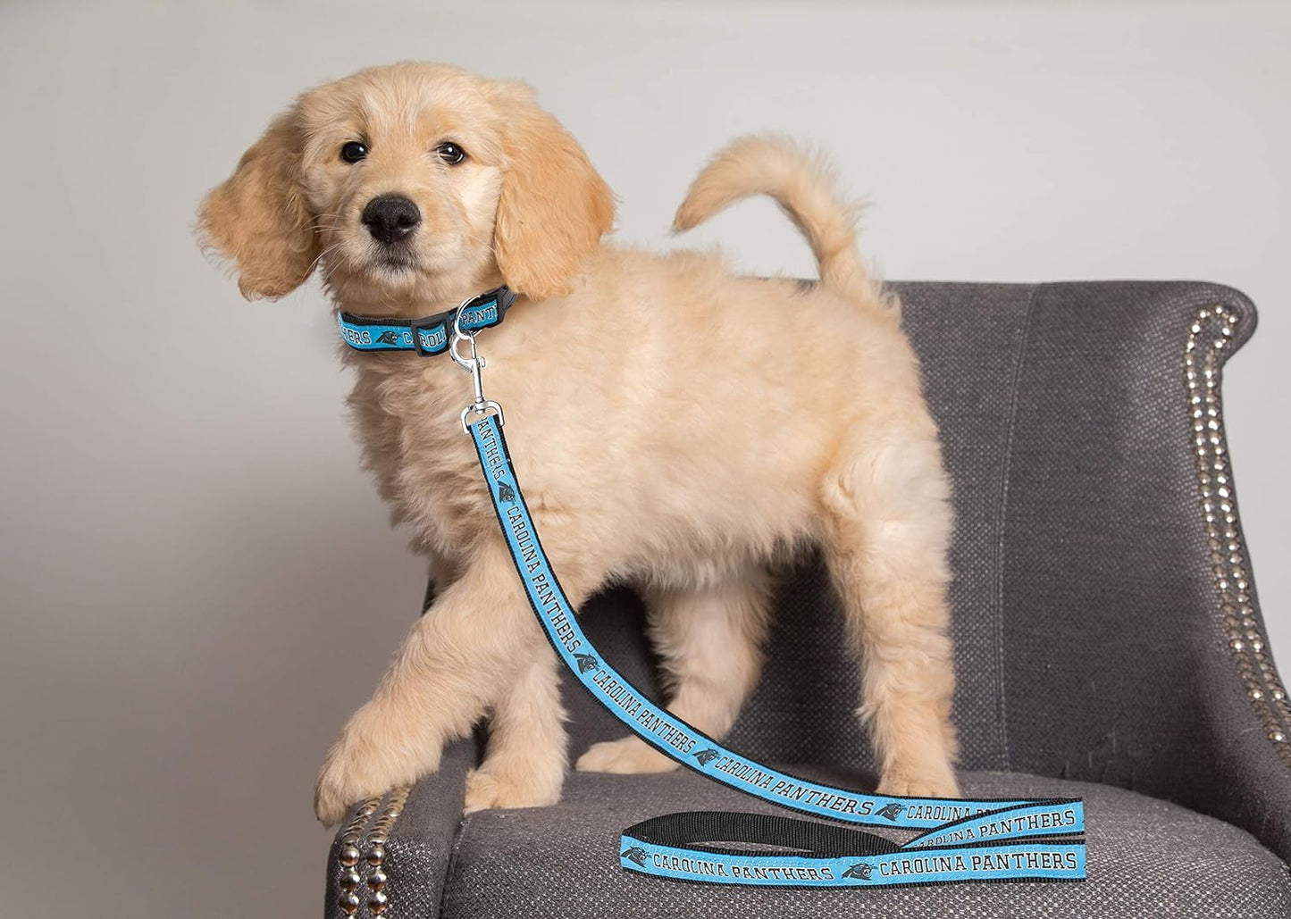 NFL Licensed Carolina Panthers Pet Leash, Size Large – Durable Satin Dog & Cat Walking Strap and Pet Tether with Embroidered Team Name & Logo