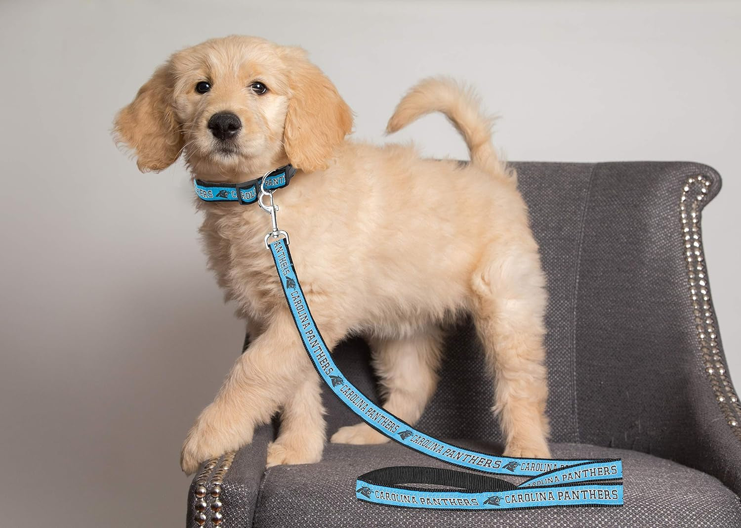 NFL Licensed Carolina Panthers Pet Leash, Size Large – Durable Satin Dog & Cat Walking Strap and Pet Tether with Embroidered Team Name & Logo