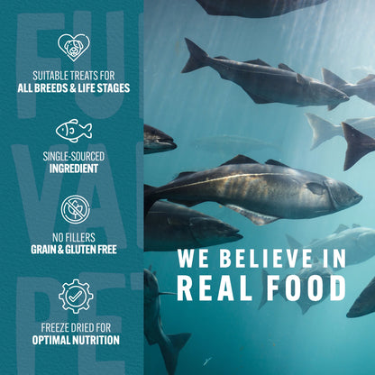 Co. Freeze Dried Raw Salmon Treats & Topper for Dogs and Cats - 1 Oz.