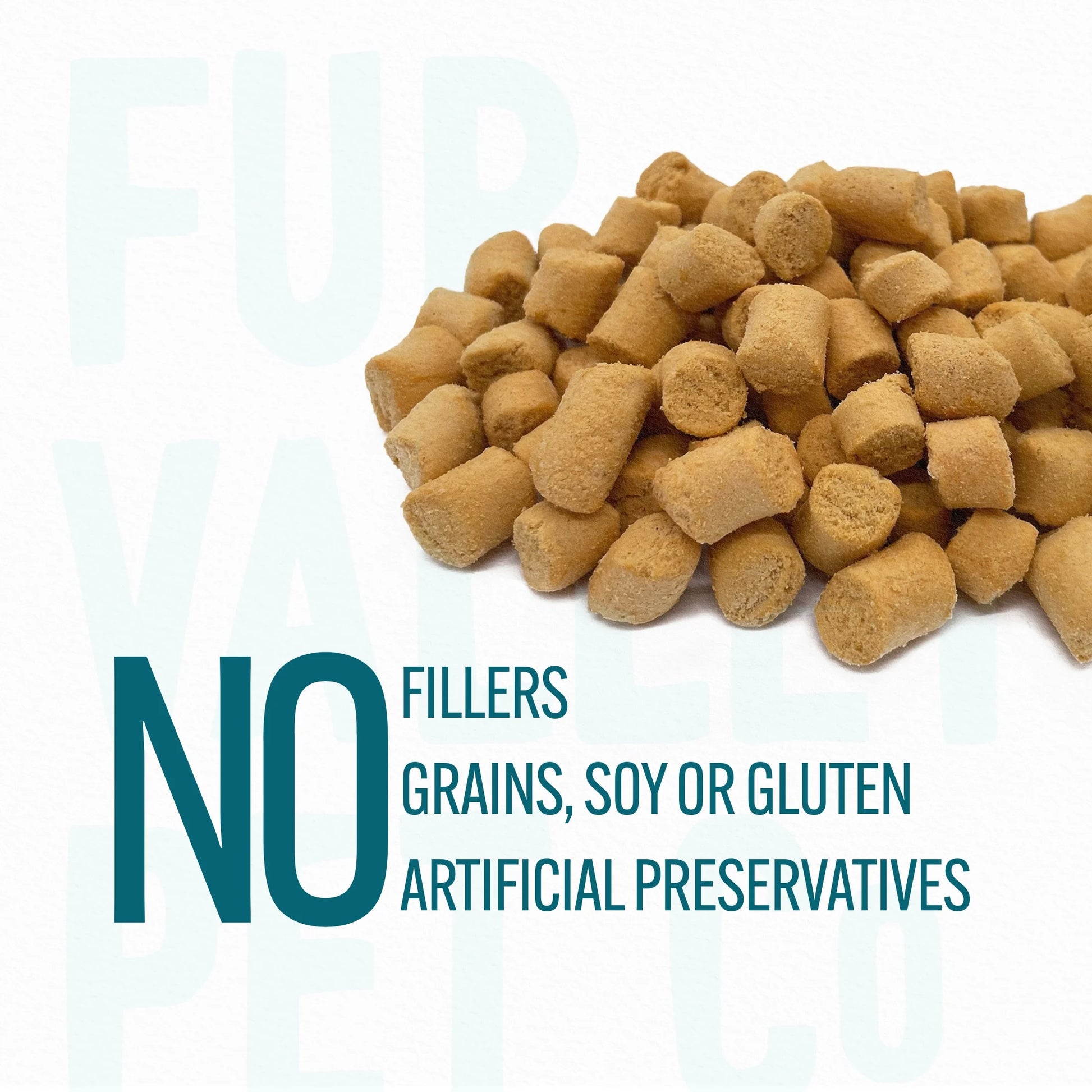 Co. Freeze Dried Raw Salmon Treats & Topper for Dogs and Cats - 1 Oz.