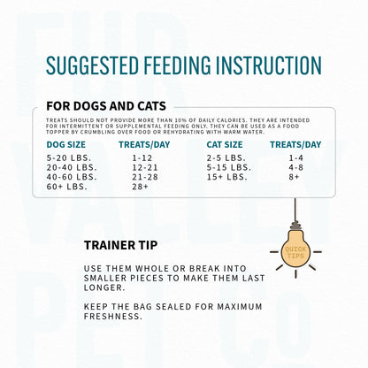 Co. Freeze Dried Raw Salmon Treats & Topper for Dogs and Cats - 1 Oz.